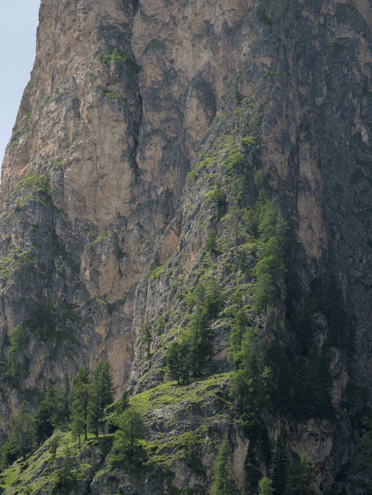 Dramatic vertical cliff face with green alpine forest below, Val Gardena, Dolomites, Italy