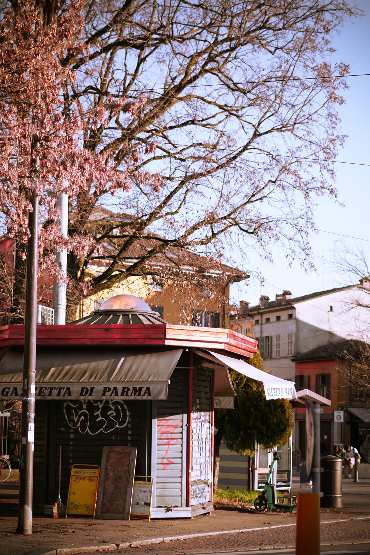 Tree-lined spring street scene in Parma with historic buildings and pedestrians, Emilia-Romagna, Italy