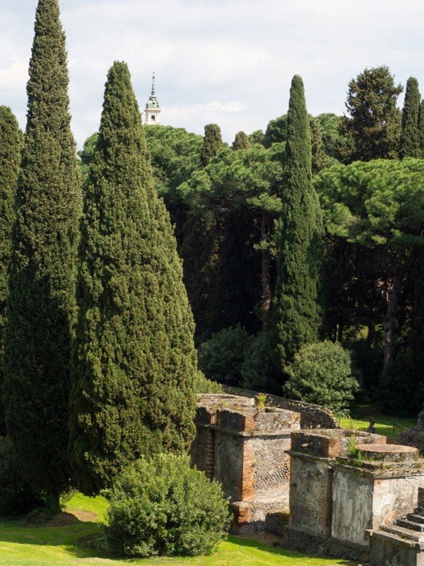Cypress trees surrounding ancient ruins at the Archaeological Park of Pompeii, Campania, Italy