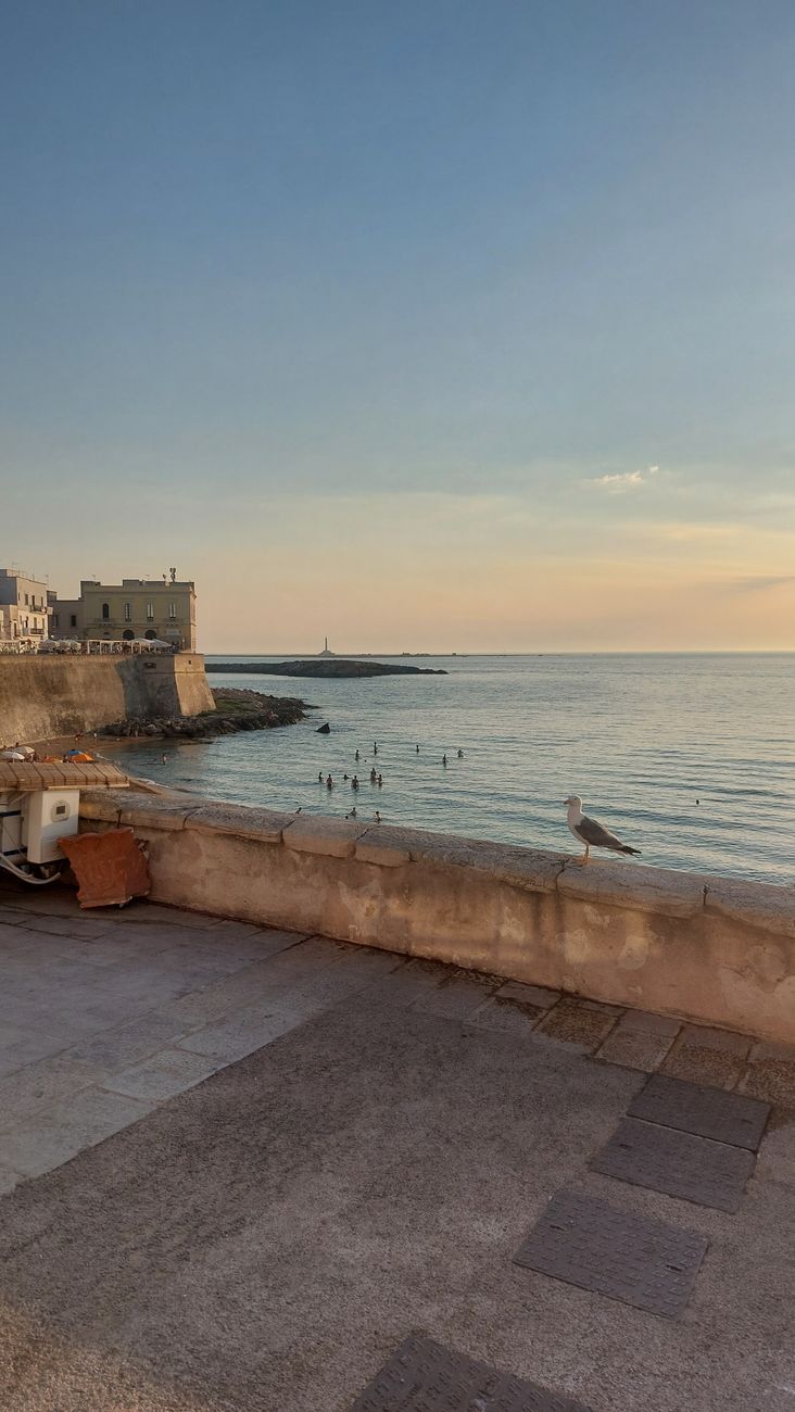 Gallipoli