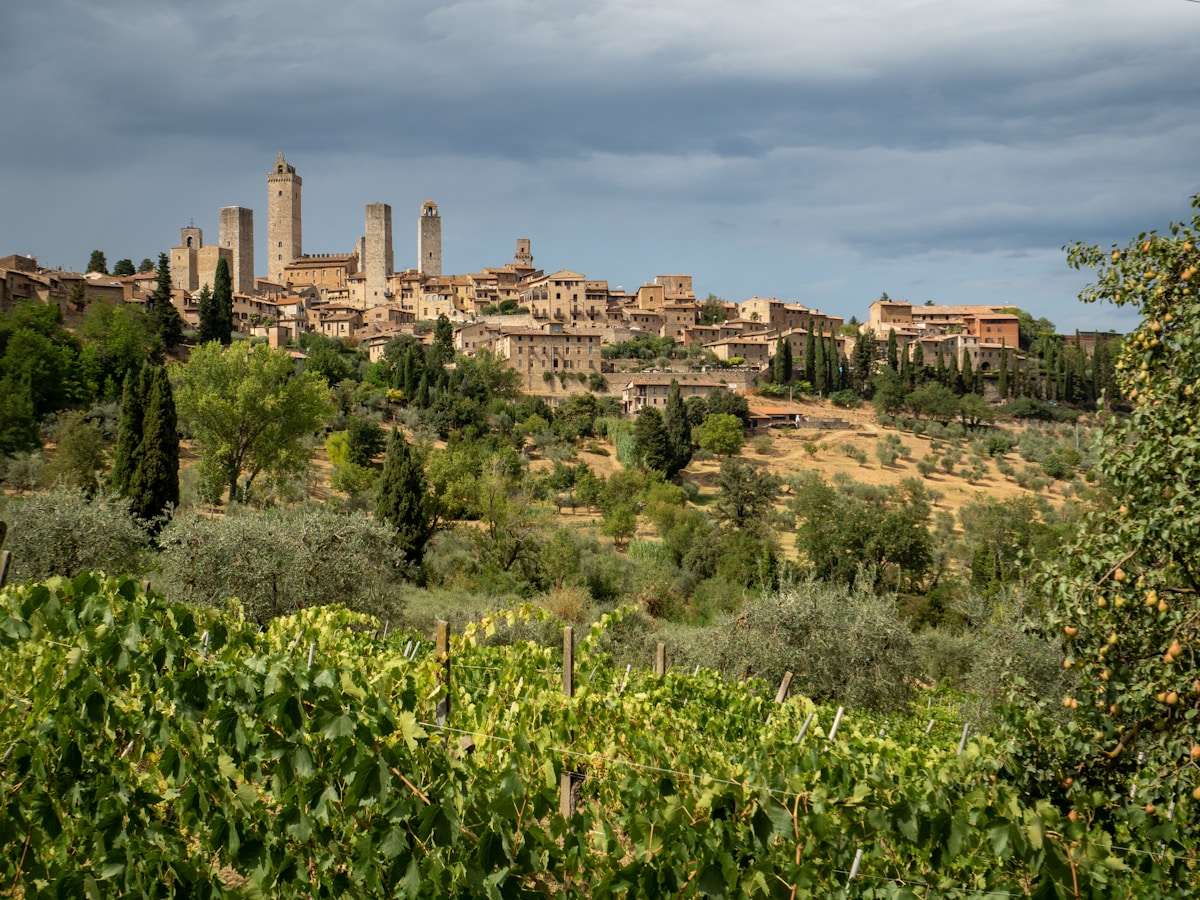 Medieval hilltop town of San Gimignano with its stone towers above vineyards, Tuscany, Italy