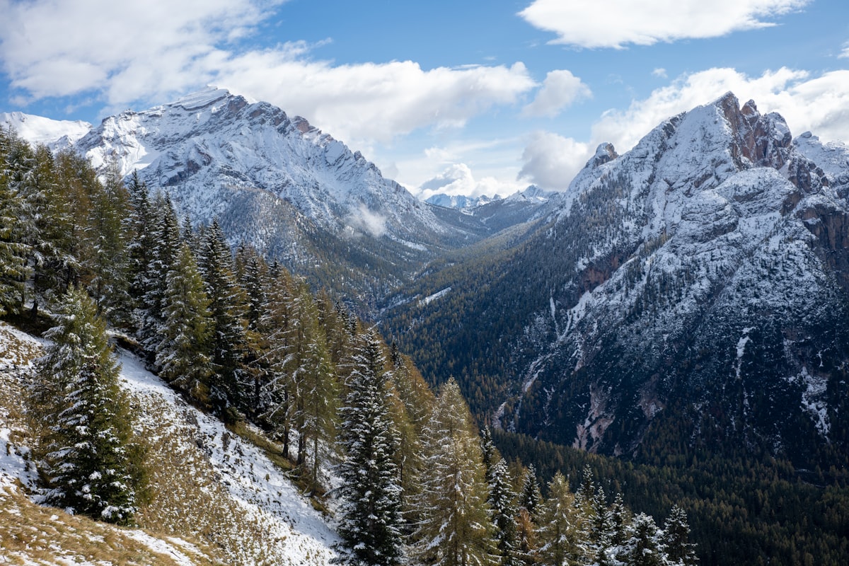 Snow-dusted pine forest and Dolomite peaks above the valley of Cortina d'Ampezzo, Belluno, Italy
