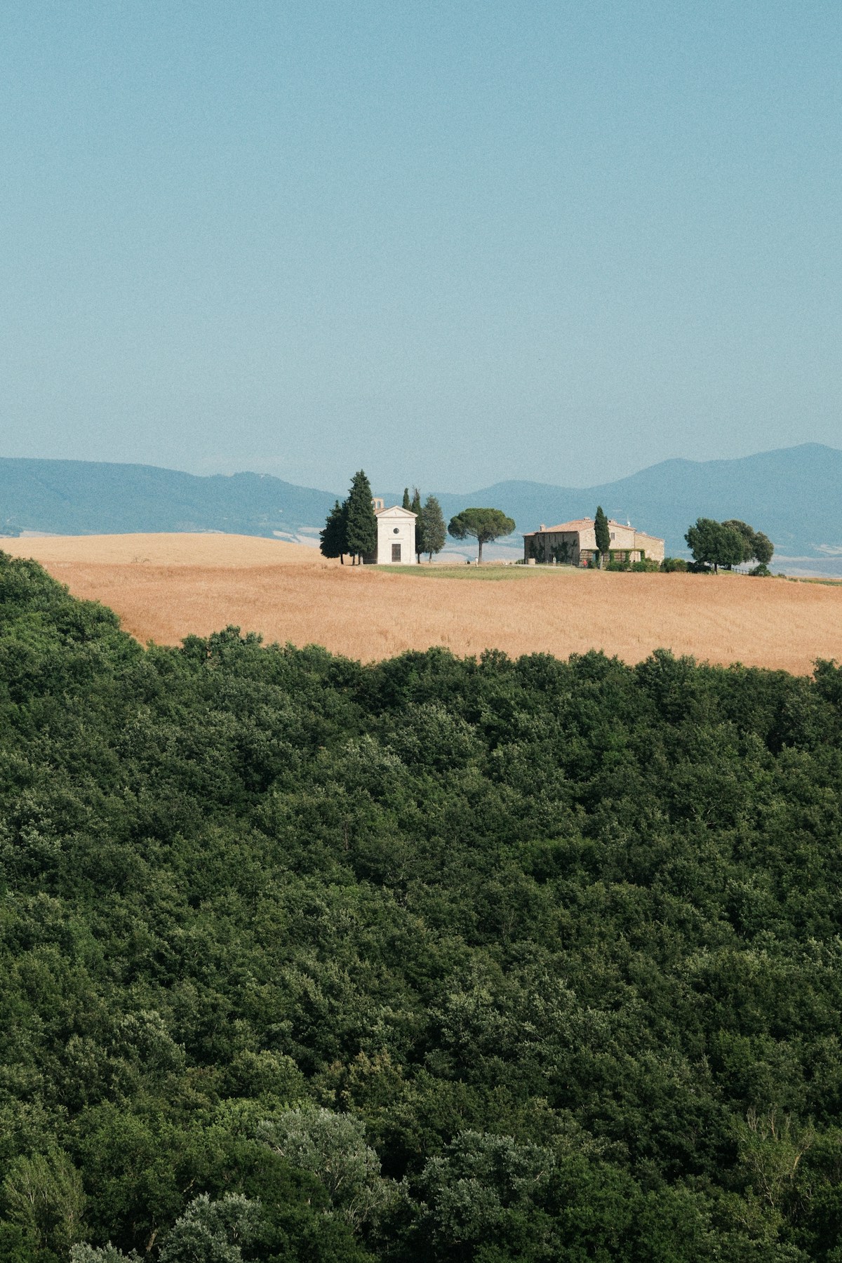 Tuscany landscape with cypress trees and rolling hills