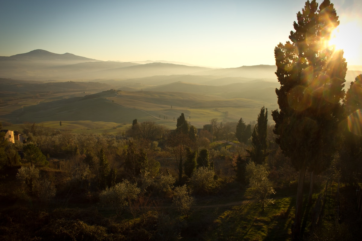 Rolling Tuscan hills at sunrise with cypress trees and misty valleys, Val d'Orcia, Italy