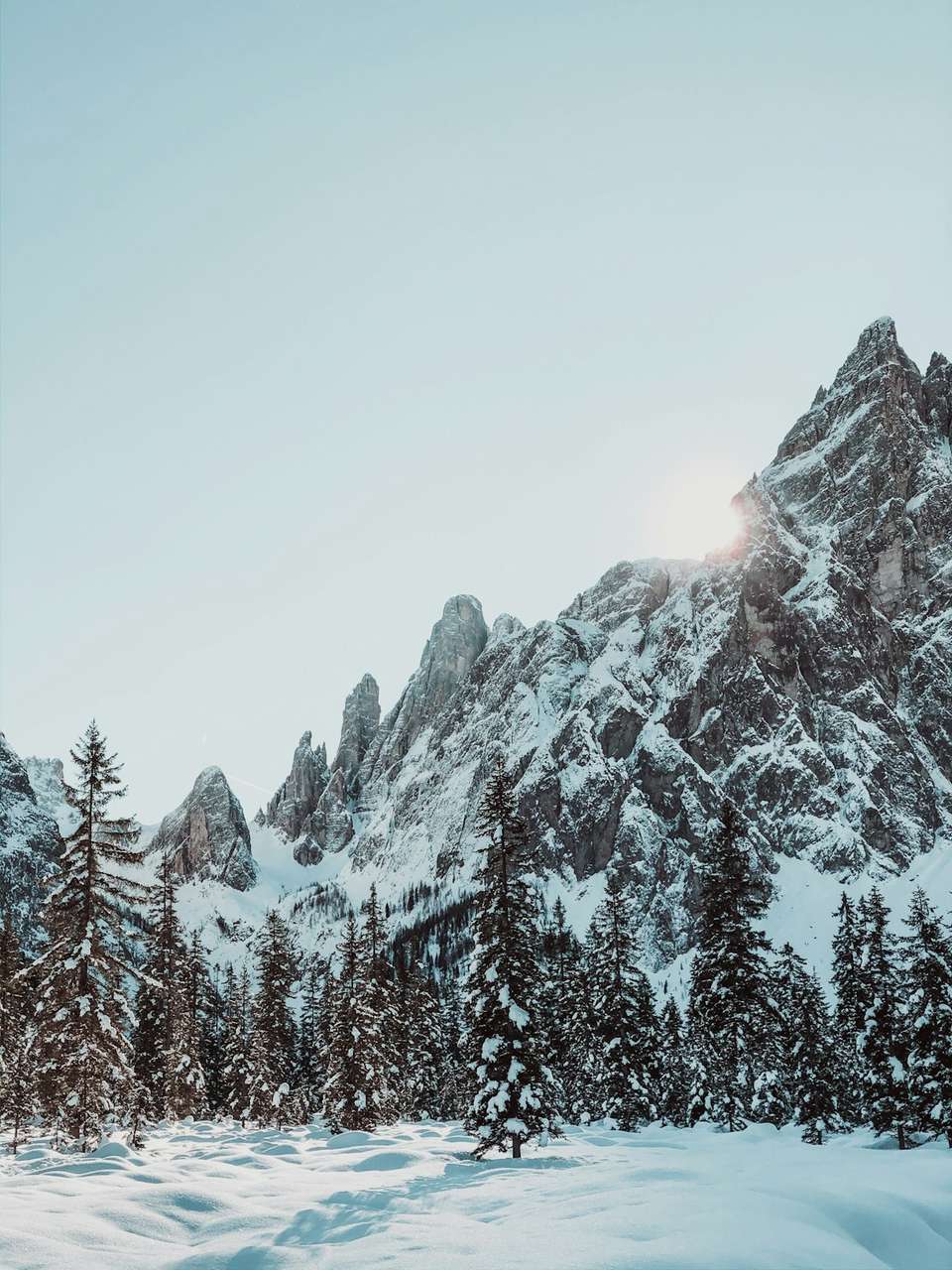 Snow covered Dolomite peaks rising above a snowy pine forest, Sesto, South Tyrol, Italy