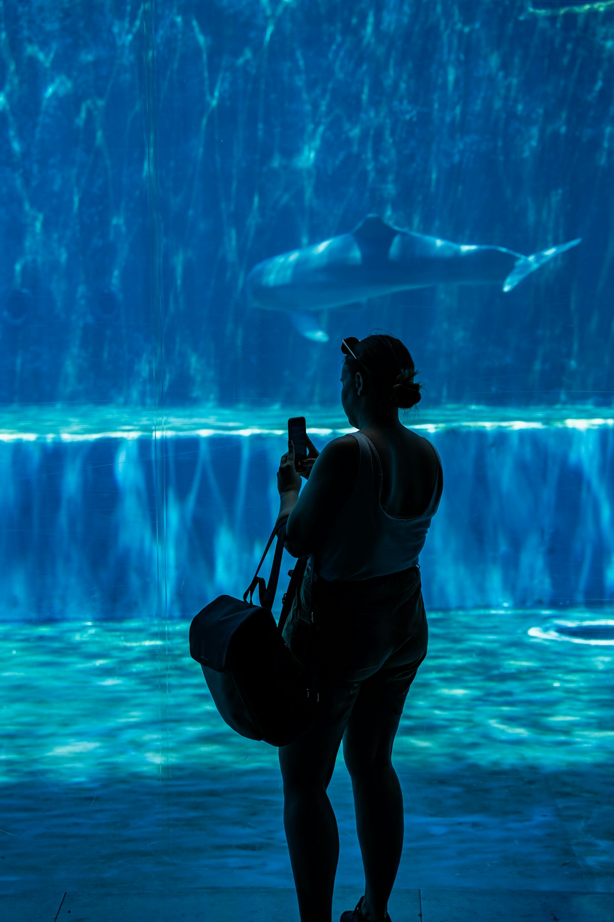 Visitor silhouetted against a large shark tank at the Acquario di Genova, Genoa, Italy