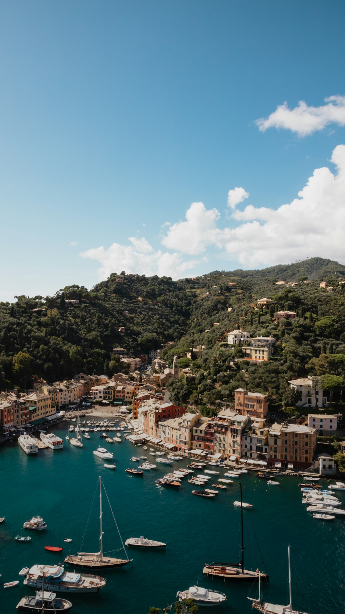 Aerial view of Portofino's colourful harbour filled with boats, surrounded by forested hills, Liguria, Italy