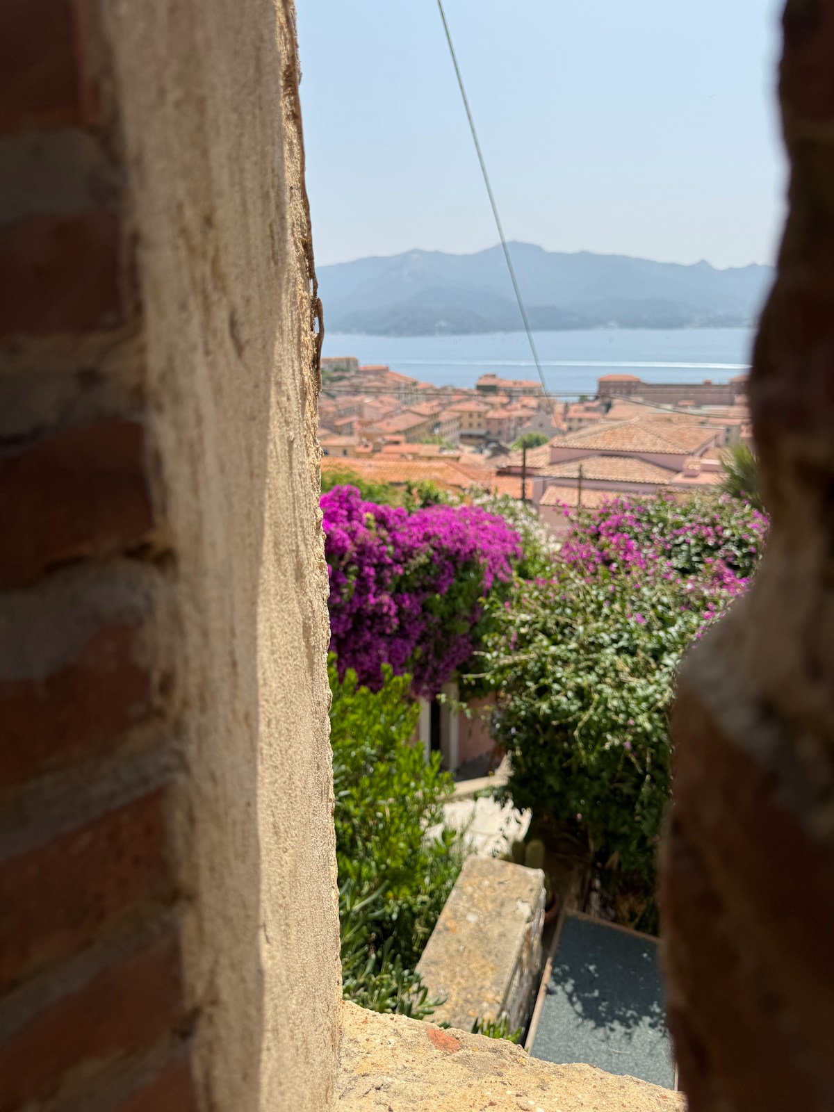 View through stone walls over Portoferraio rooftops with flowering bougainvillea and blue sea, Elba island, Italy