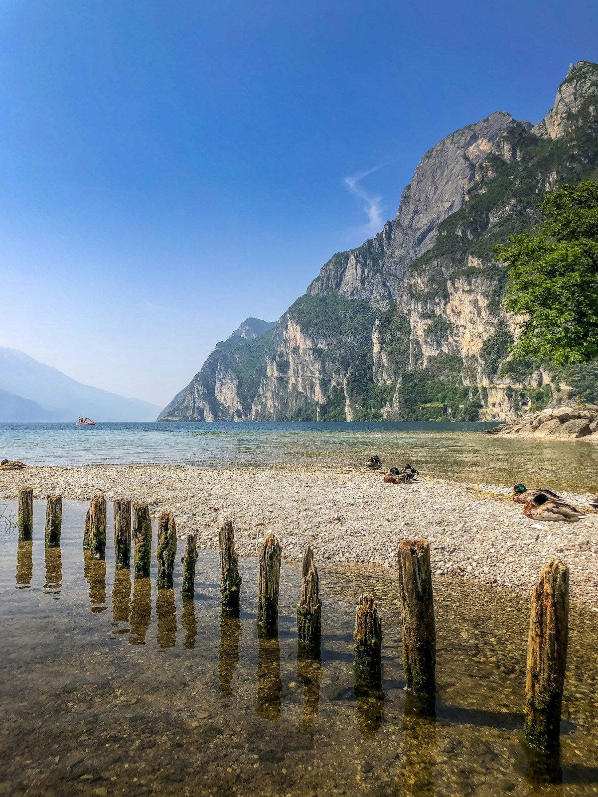 Wooden posts on a pebble beach near green mountain, Lake Garda, Italy