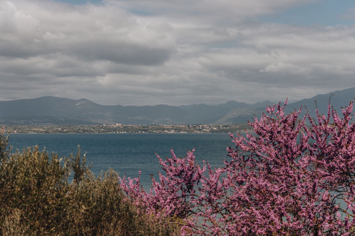 Lake Garda in spring with blossoming trees and snow-capped mountains behind the northern shore