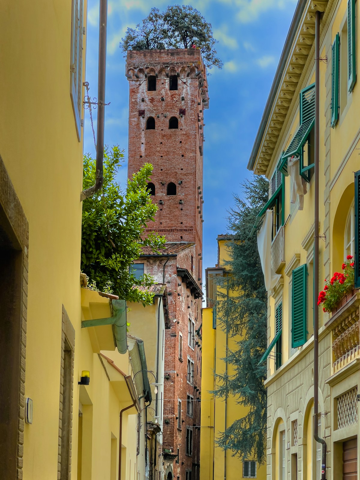 Torre Guinigi brick tower in Lucca, Tuscany, Italy