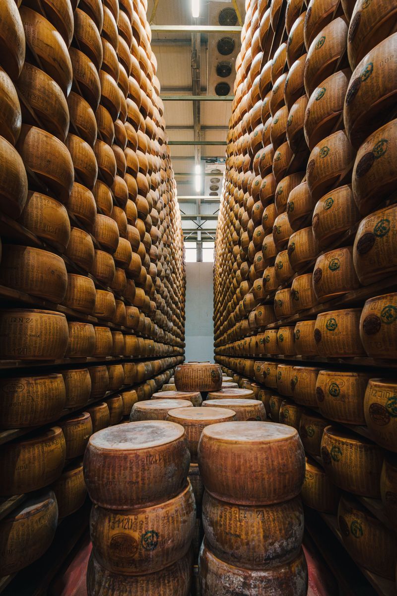 Rows of Parmigiano Reggiano wheels aging in an Emilia-Romagna warehouse