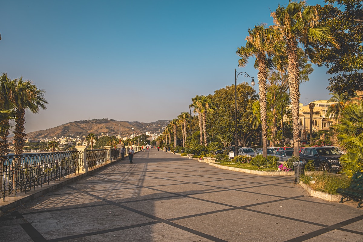 Street with palm trees, Reggio Calabria, Calabria, Italy