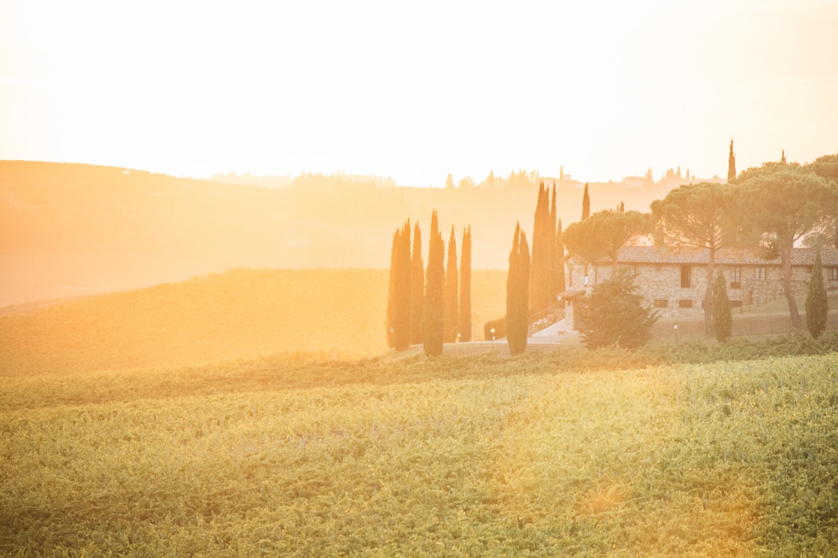 Misty Val d'Orcia landscape at sunrise with cypress trees and rolling hills, Tuscany