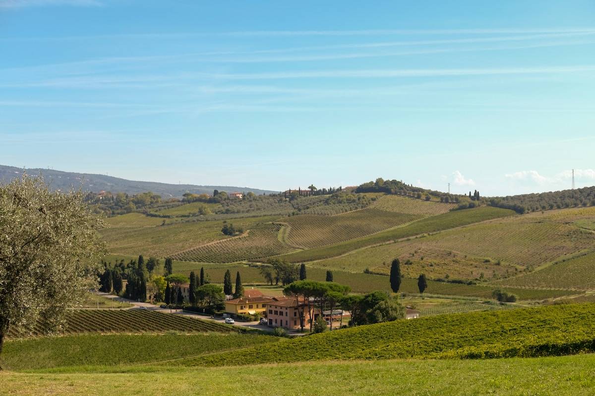 Rolling hills with vineyards, olive trees and a farmhouse in an Italian wine country landscape