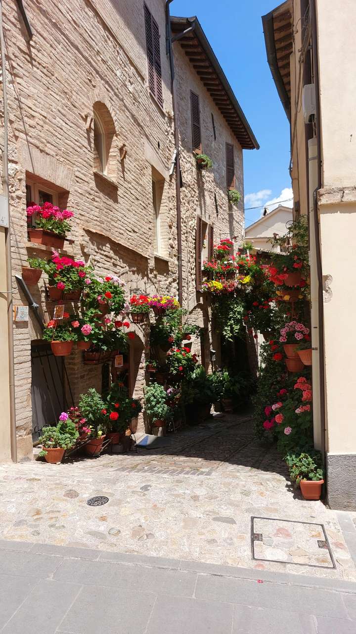 Narrow cobblestone street lined with potted flowers on stone building facades, Spello, Province of Perugia, Umbria, Italy