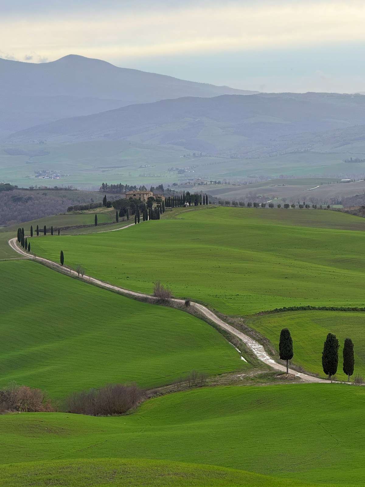 Rolling green Tuscan hills of Val d'Orcia with a winding cypress-lined road leading to an isolated farmhouse, Siena province, Italy